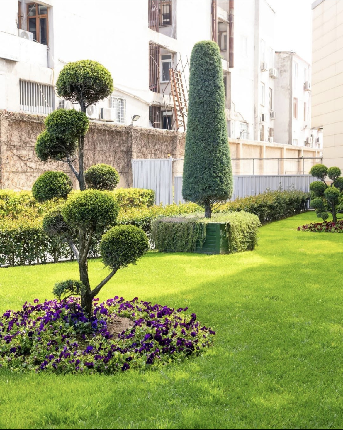 Lawn Maintenance Project