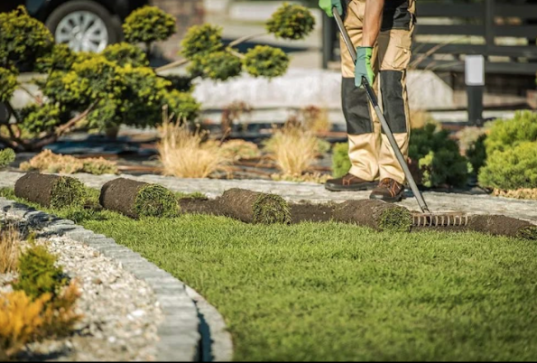 Professional landscaping work